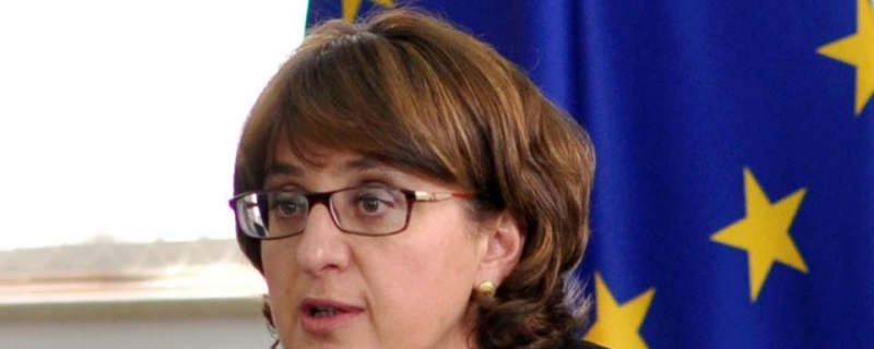 შეხვედრა მაია ფანჯიკიძესთან
